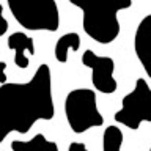 Meet your Posher, Adrian